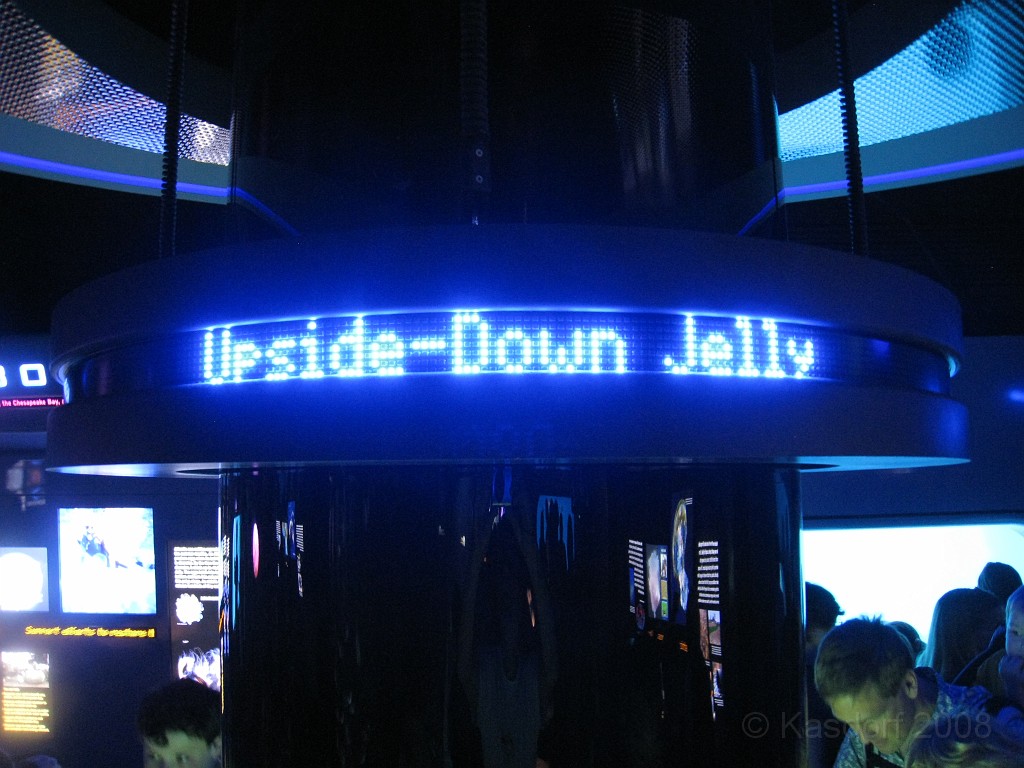 Baltimore MD 2009 1070.jpg - A 4th of July trip to Washington DC in 2009 included a stop in Baltimore MD to see the National Aquarium.